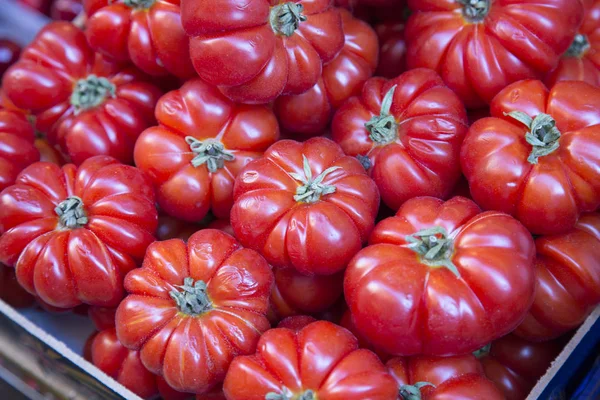 Tomates rouges au marché de la rue, Bologne — Photo