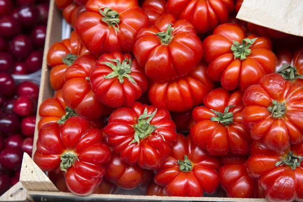 Fondo rojo de tomate — Foto de Stock