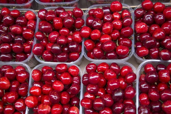 Fondo rojo cereza — Foto de Stock