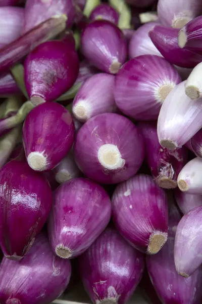 Fondo de cebolla púrpura —  Fotos de Stock