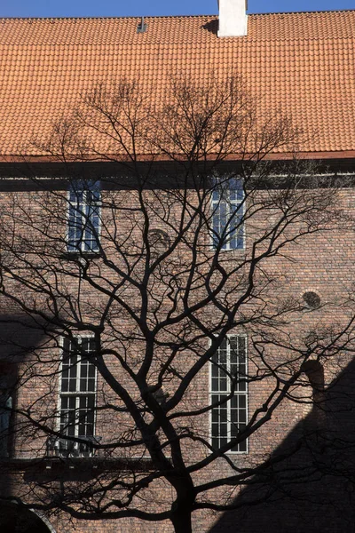 Силуэт Три в ратуше Стокгольма — стоковое фото