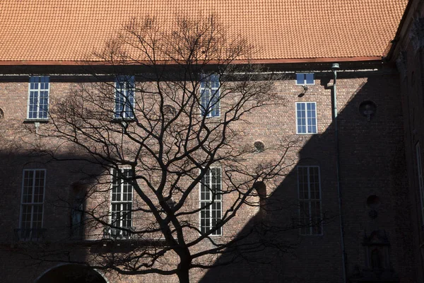 Silueta del árbol en el ayuntamiento; Estocolmo — Foto de Stock