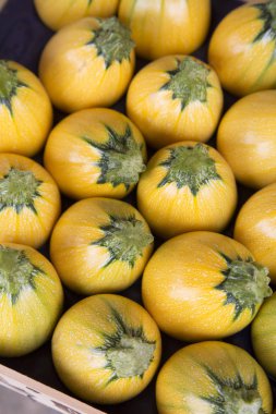 Sarı kabak kabak sebze arka plan