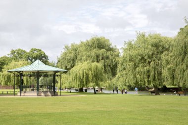 Söğüt ağaçları Stratford Upon Avon Nehri kıyısında