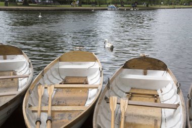 Nehir, Stratford Upon Avon, İngiltere'de teknede kürek