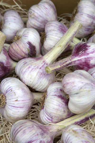 Ajo fondo vegetal — Foto de Stock