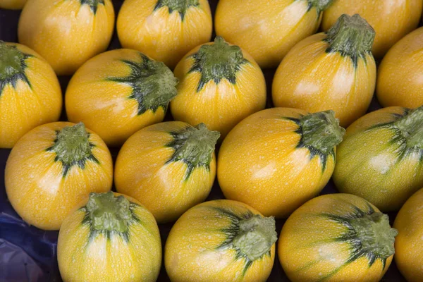 Sarı kabak kabak sebze 