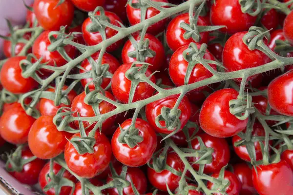 Fondo de tomate cereza — Foto de Stock