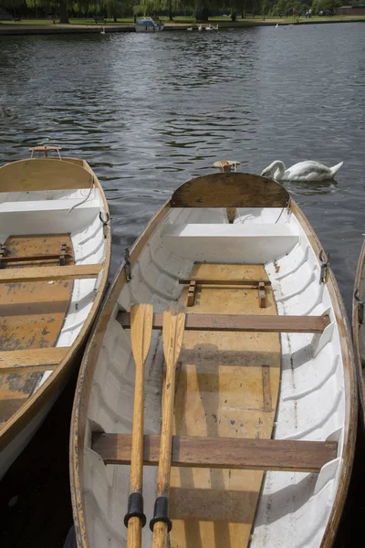 Stratford Upon Avon nehri üzerinde tekne kürek — Stok fotoğraf