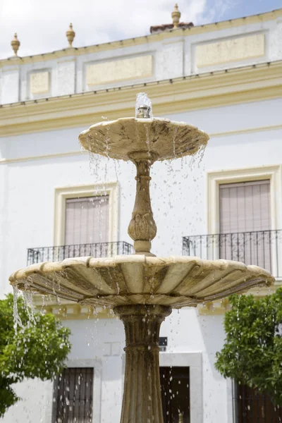 Fontana in Plaza de Pilar Piazza Redondo, Zafra — Foto Stock