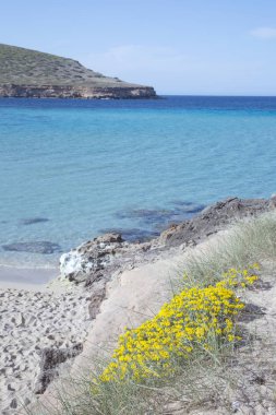 Comte plajları, Ibiza, İspanya