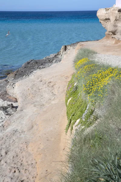 Comte のビーチ、イビサ島、スペイン — ストック写真