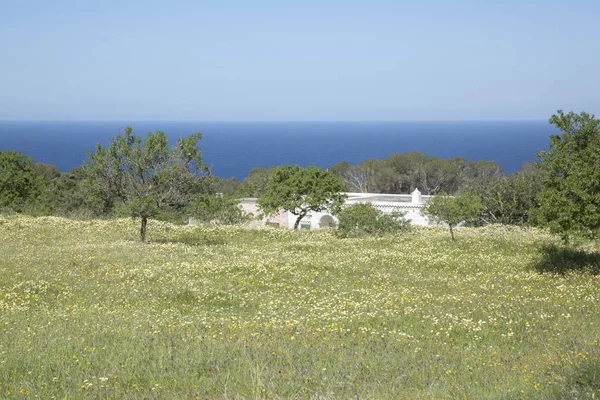 Otevřít pole poblíž Hort Beach; Ibiza — Stock fotografie