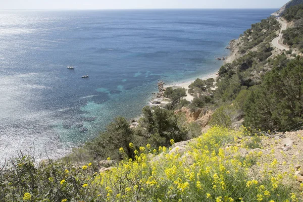 Ullastre Beach, Cubells; Ибица — стоковое фото