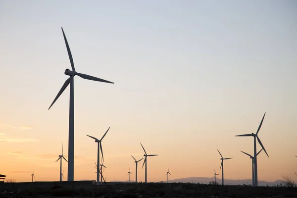 Wind Turbines at Dusk, Aragon