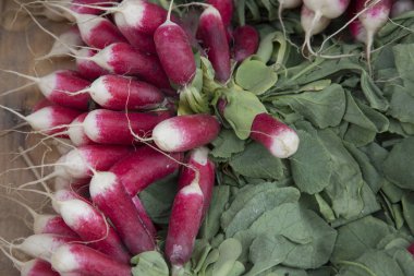 Piyasa ahır satışa raddish