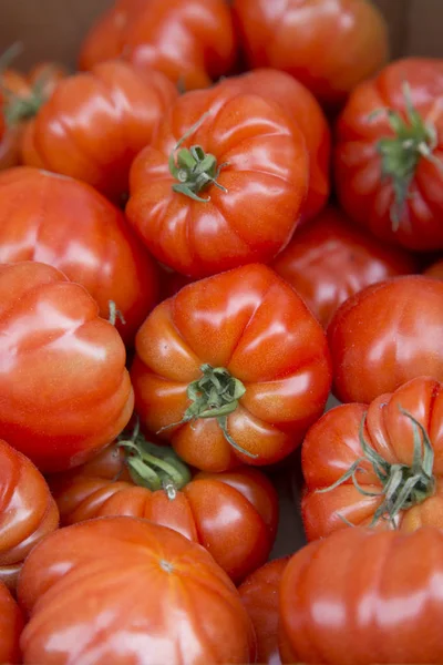 Tomates rouges sur le marché décrochage — Photo