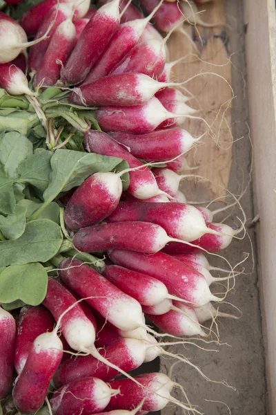 Raddish in vendita sulla bancarella del mercato — Foto Stock