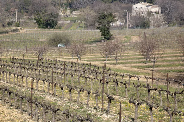 Landschap buiten Bonnieux; Provence — Stockfoto