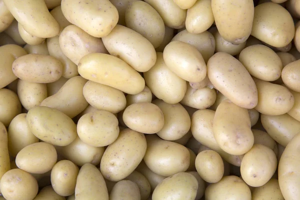Potato Vegetable Background — Stock Photo, Image