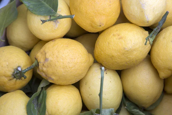 Citron frukt bakgrund — Stockfoto