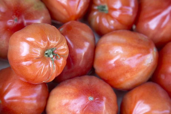 Kırmızı domates sebze arka plan — Stok fotoğraf