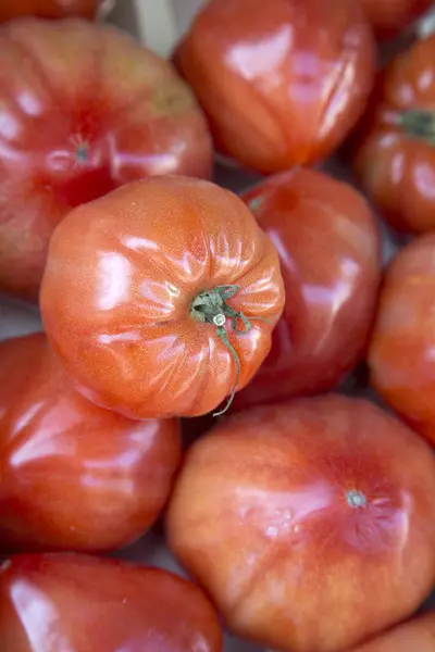 Kırmızı domates sebze arka plan — Stok fotoğraf