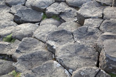 Devler Causeway; County Antrim; Kuzey İrlanda