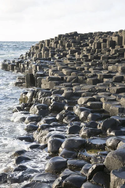 Giants Causeway; County Antrim; Severní Irsko — Stock fotografie