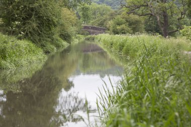 Cromford Canal, Peak District, Derbyshire, İngiltere