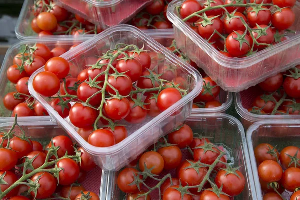 Tomates rojos de cereza — Foto de Stock