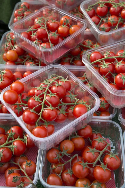 Tomates rojos de cereza — Foto de Stock