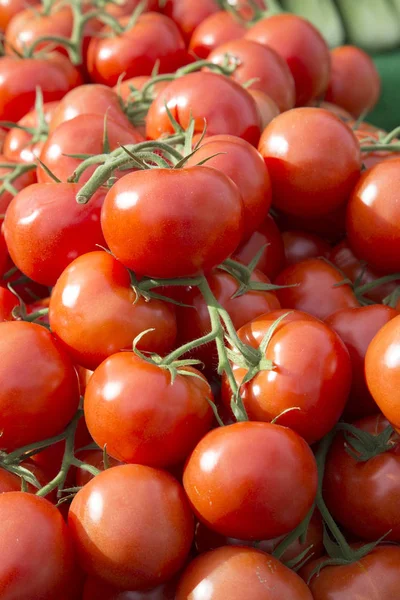빨간 토마토 배경 — 스톡 사진