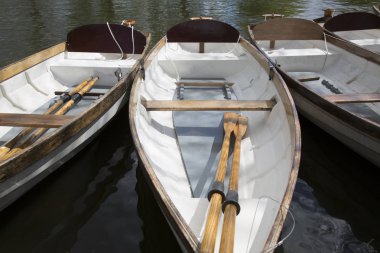 Nehir, Stratford Upon Avon teknede kürek