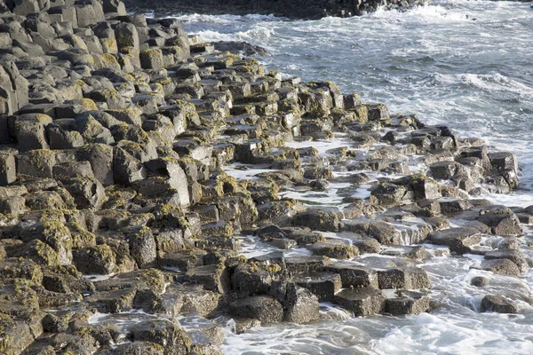 Chaussée des Géants ; Comté d'Antrim ; Irlande du Nord — Photo