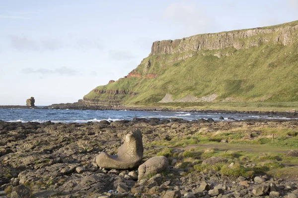 Grobla Olbrzyma; Hrabstwo Antrim; Irlandia Północna — Zdjęcie stockowe