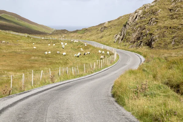 Connemara loop route straße, tully; connemara; galway; — Stockfoto