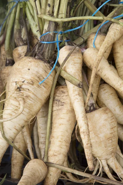 Close Up of Parsnip Vegetable Background — Stock Photo, Image