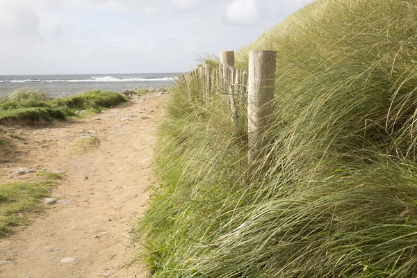 Footpath to Beach, Clare — Stock Photo, Image