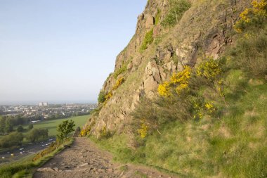 Patika üzerinde Salisbury Crags, Holyrood Park, Edinburgh
