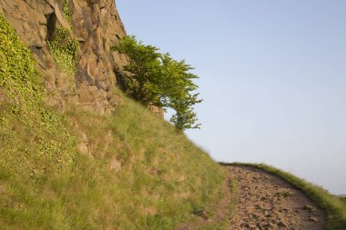 Patika üzerinde Salisbury Crags, Holyrood Park, Edinburgh