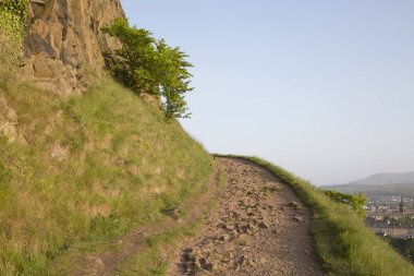 Patika üzerinde Salisbury Crags, Holyrood Park, Edinburgh