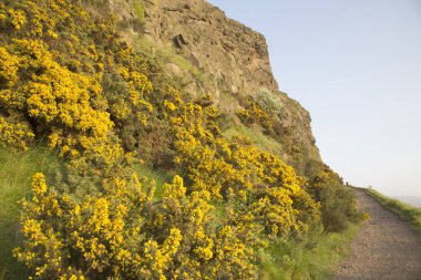 Salisbury Crags, Edinburgh