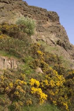 Salisbury Crags, Holyrood Park, Edinburgh