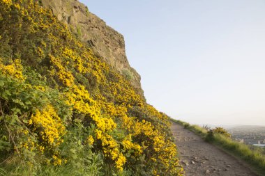Salisbury Crags, Edinburgh
