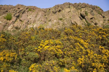 Salisbury Crags, Holyrood Park, Edinburgh