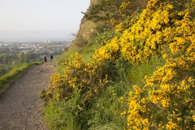 Salisbury Crags, Edinburgh