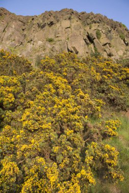 Salisbury Crags, Edinburgh