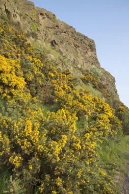 Salisbury Crags, Edinburgh