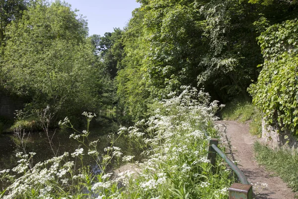 Vatten av Leith gångväg, Dean by; Edinburgh; Skottland — Stockfoto